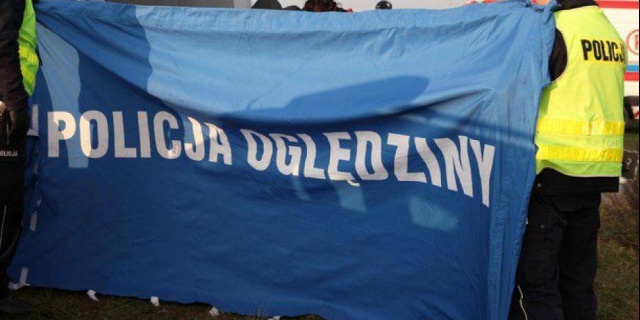 Horror na posesji pod Skierniewicami: Policja znalazła 16 martwych psów, dziesiątki zwierząt wywiezionych w nocy