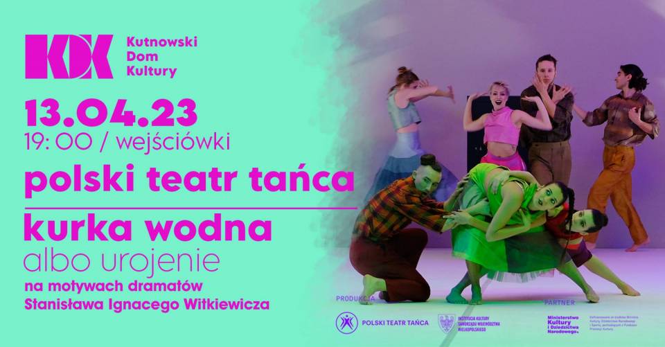 KURKA_WODNA_HEAD