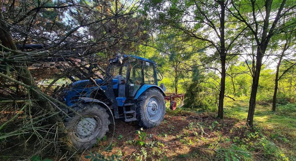 Zjechał z drogi, uderzył w drzewo i nieprzytomny siedział w maszynie. Traktorzysta wydmuchał blisko 3 promile! [Foto]