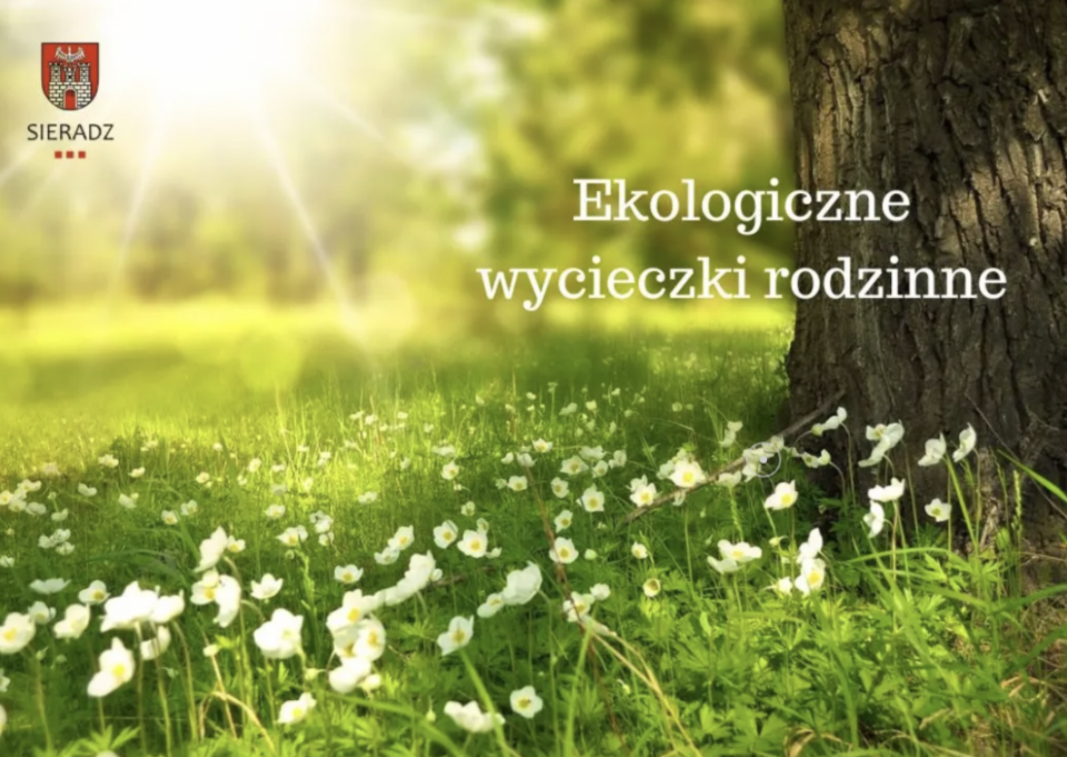 Zrzut-ekranu-2024-05-17-o-15.31.46
