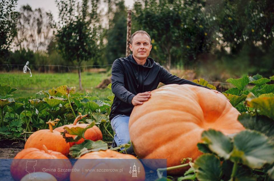 W gminie Szczerców wyrosła dynia - gigant! Ten okaz ma blisko 3 metry średnicy! Równie imponująca jest waga [Foto]