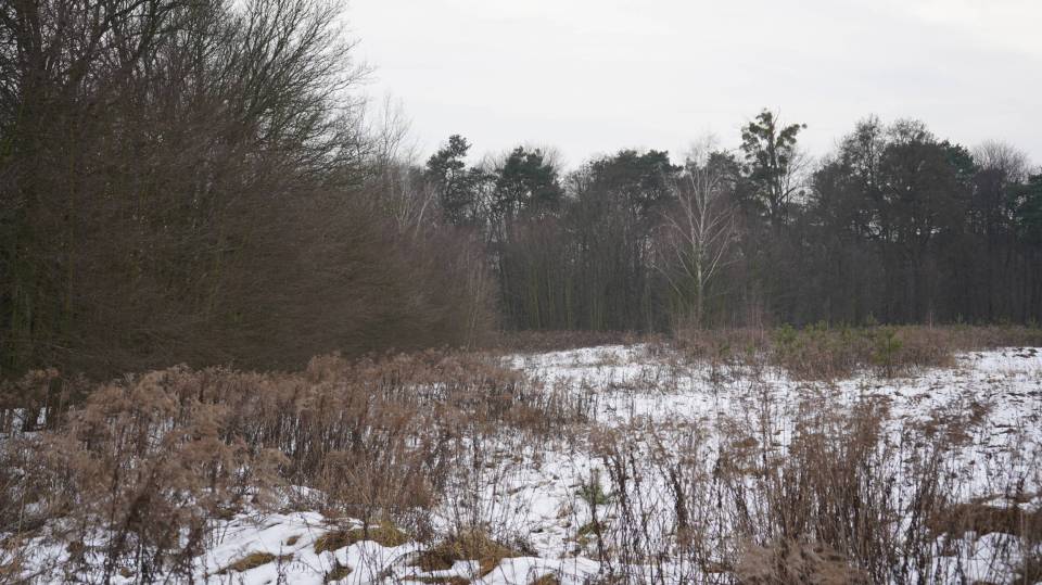 Rozwoj-gospodarki-turystycznej-w-Gminie-Koluszki