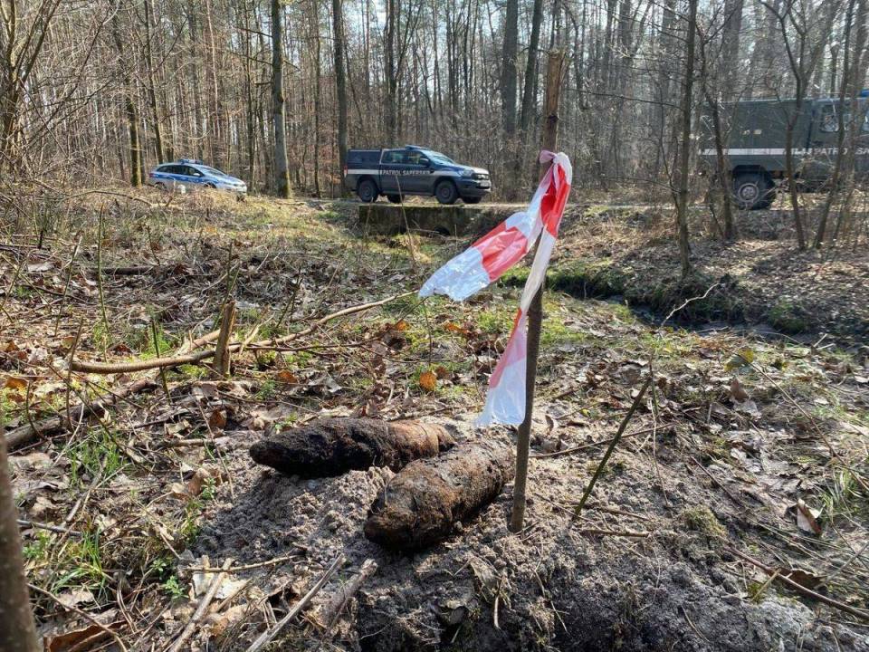 "Wybuchowe" znalezisko w lesie - pociski z gminy Dłutów do neutralizacji zabrali saperzy