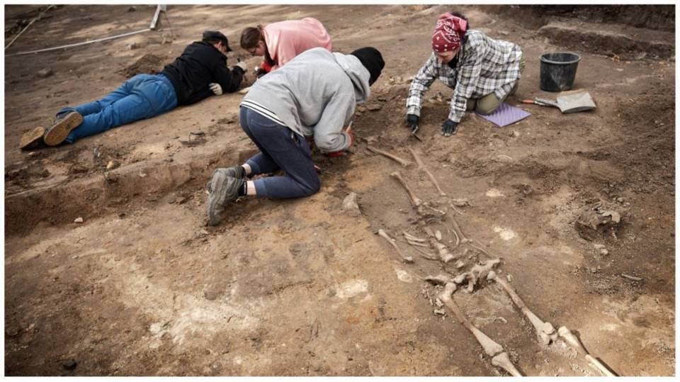 Powrót do przeszłości u stóp archikolegiaty. Archeolodzy odkrywają groby z XI wieku